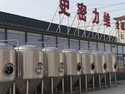 天镇精酿啤酒设备厂—市场规模与跨界新需求